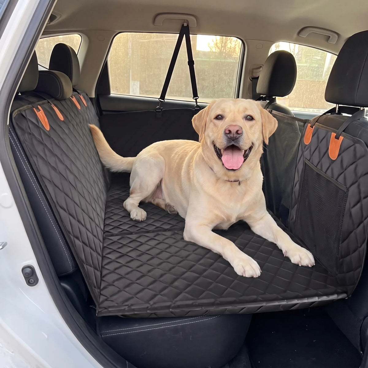 Cane sdraiato sul sedile posteriore dell'auto con coprisedile a fondo rigido