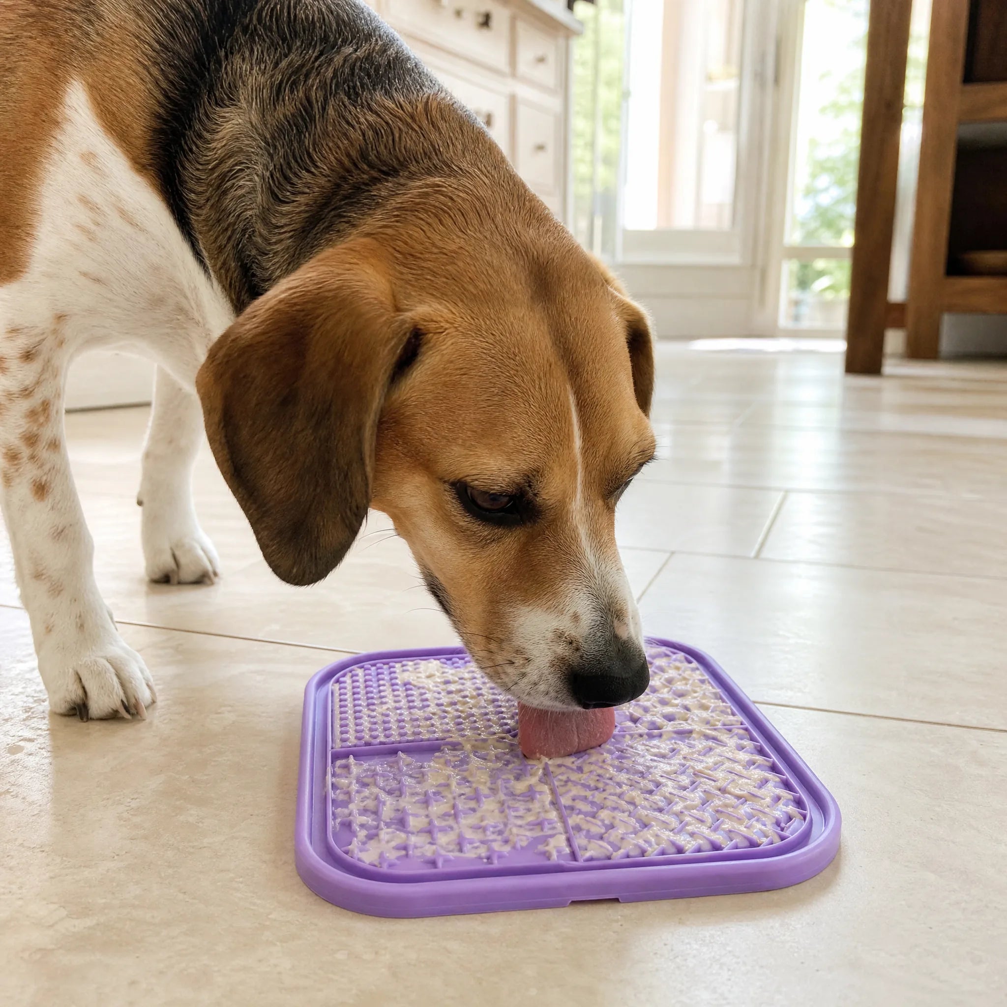 Cane che lecca il tappetino leccalecca in silicone del Kit FiutaSnack appoggiato sul pavimento di casa