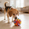 Cane che gioca felice con la SniffBall™ palla olfattiva