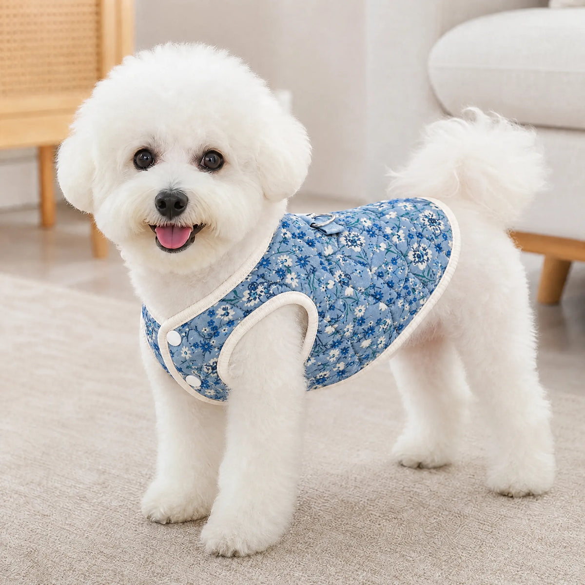 Cane in casa con cappottino floreale blu imbottito