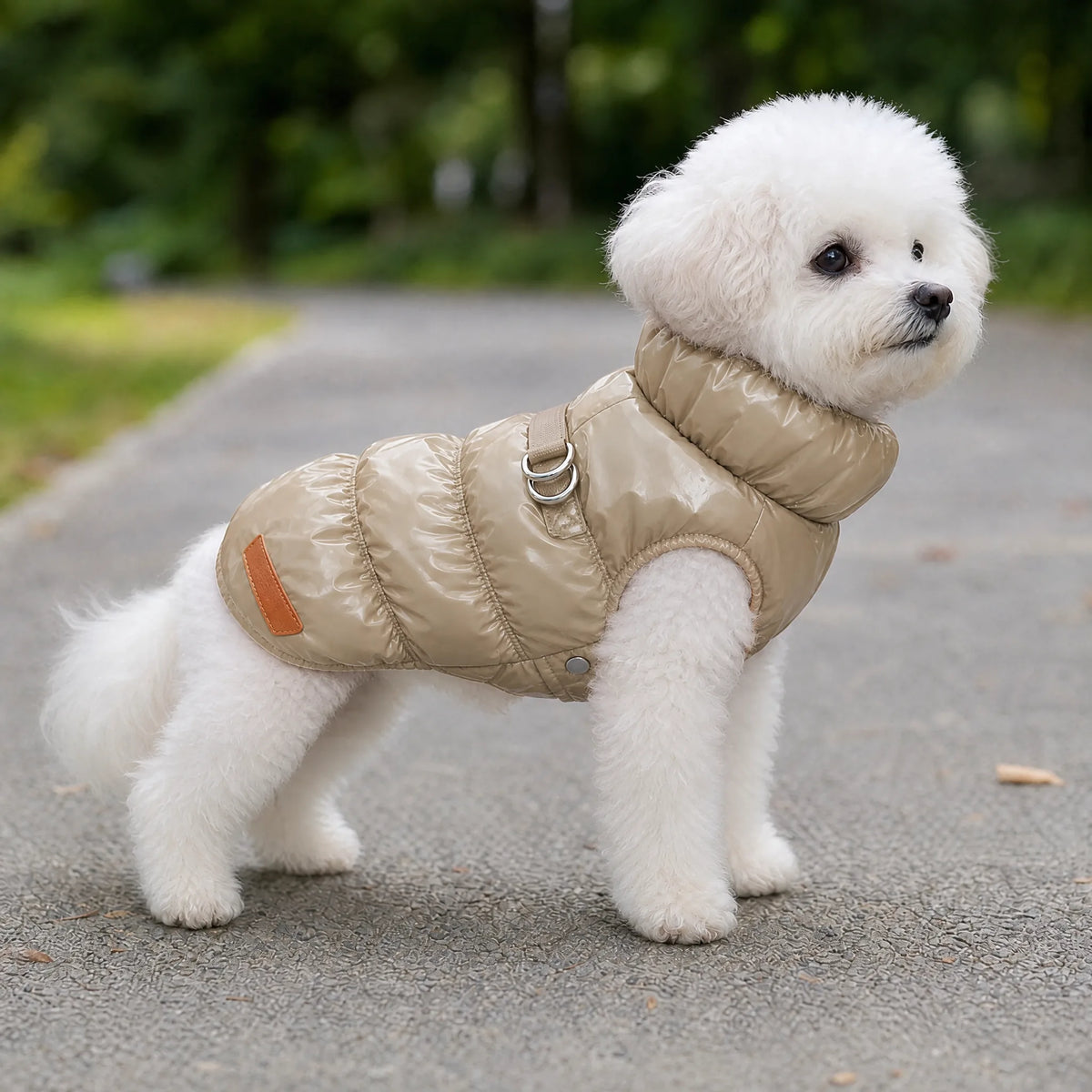 Cane che passeggia con il cappottino piumino beige