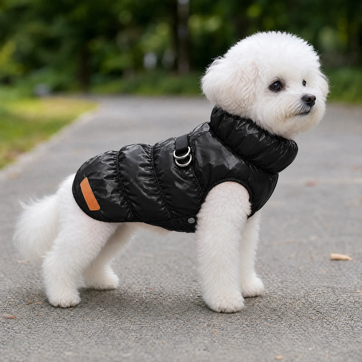 Cane che passeggia con il cappottino piumino nero