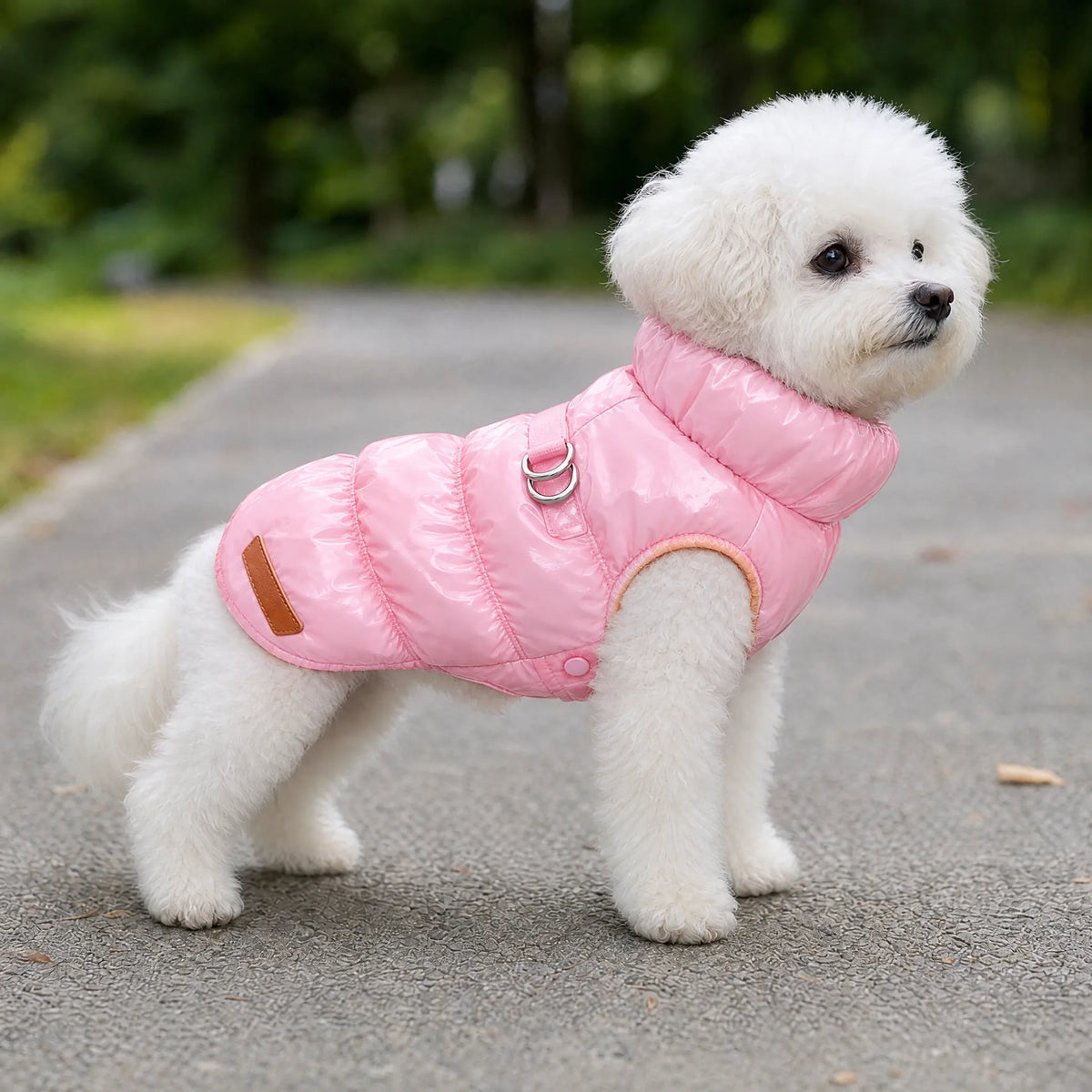 Cane che passeggia con il cappottino piumino rosa
