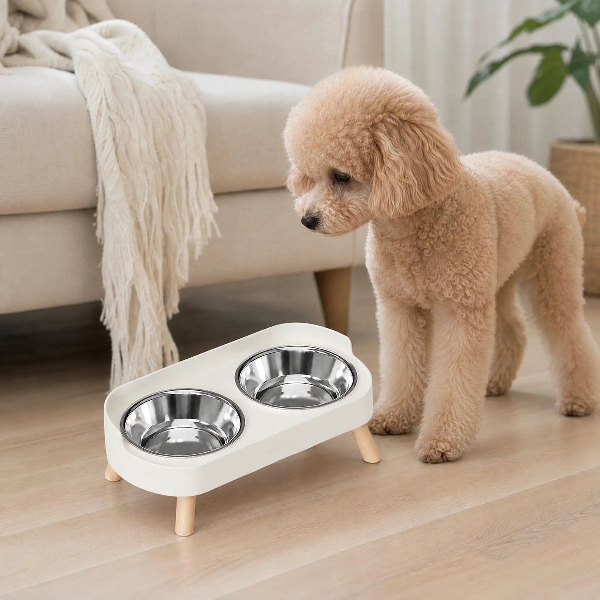 Cane che mangia in salotto dalla ciotola rialzata bianco inox