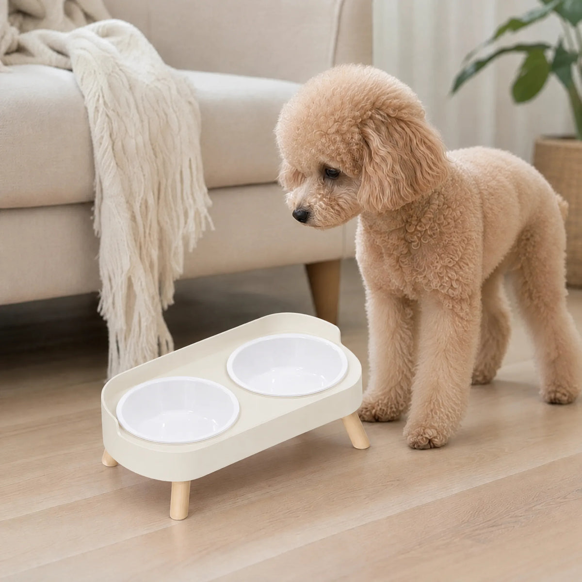 Cane che mangia in salotto dalla ciotola rialzata bianco plastica con vaschette bianche