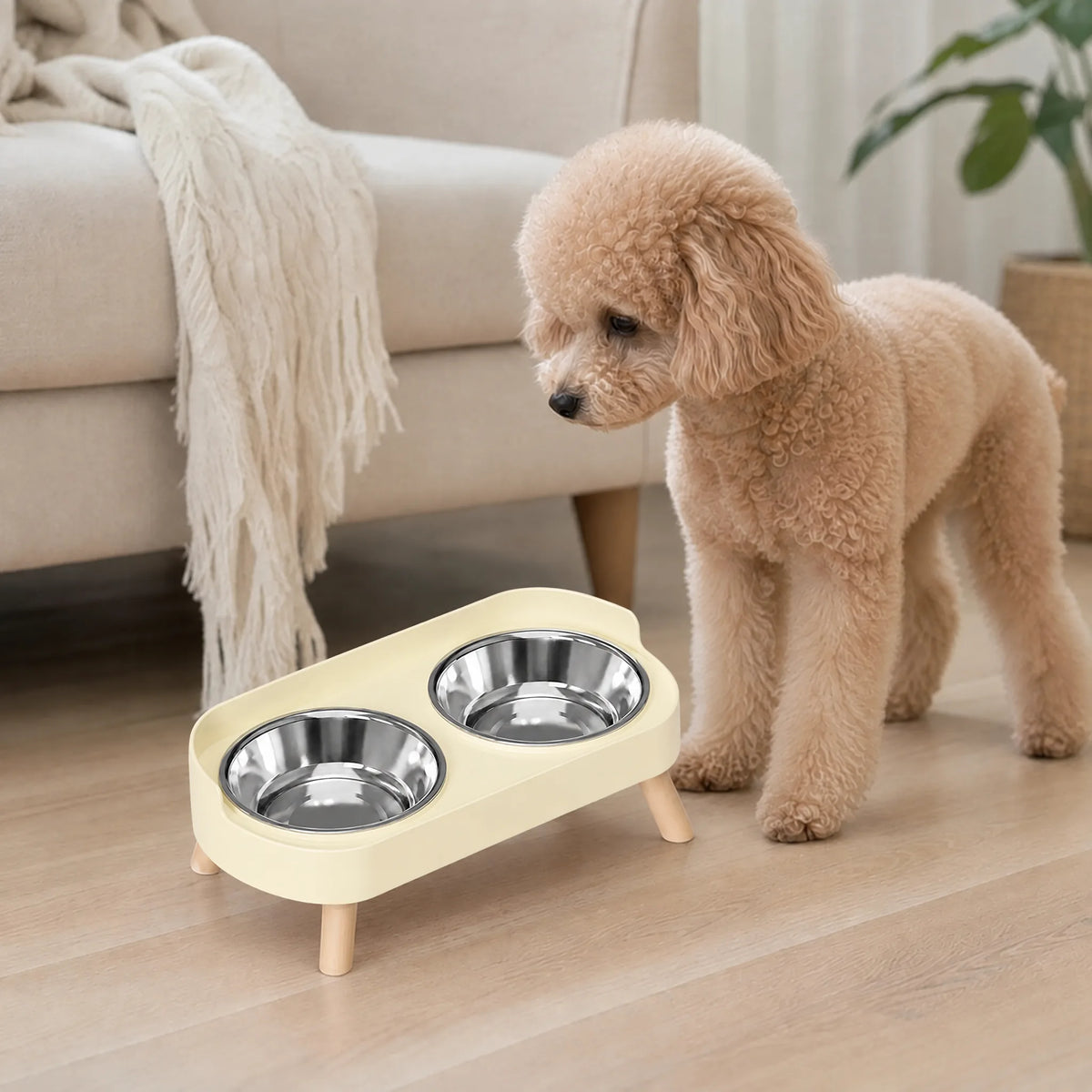 Cane che mangia in salotto dalla ciotola rialzata giallo inox