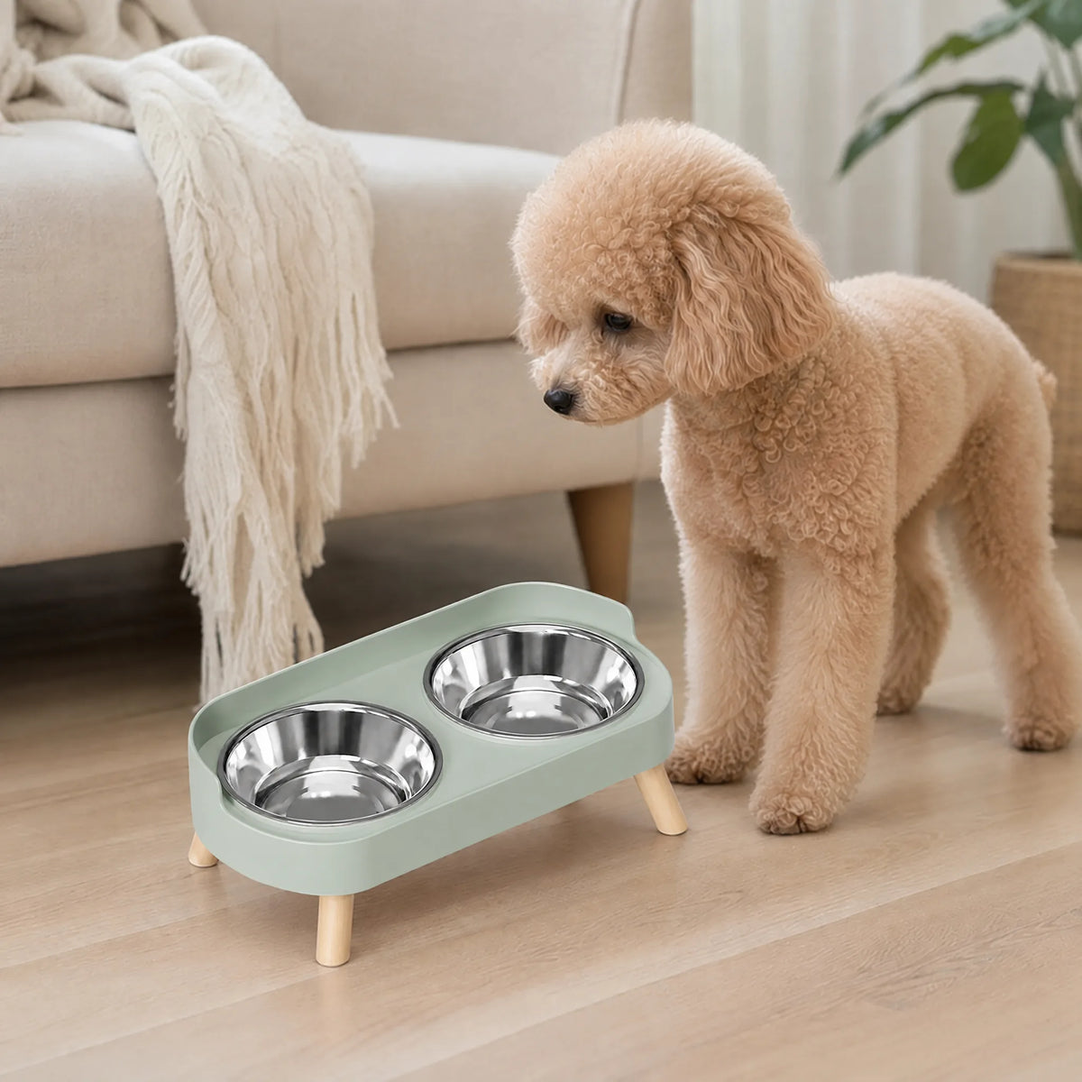 Cane che mangia in salotto dalla ciotola rialzata verde inox