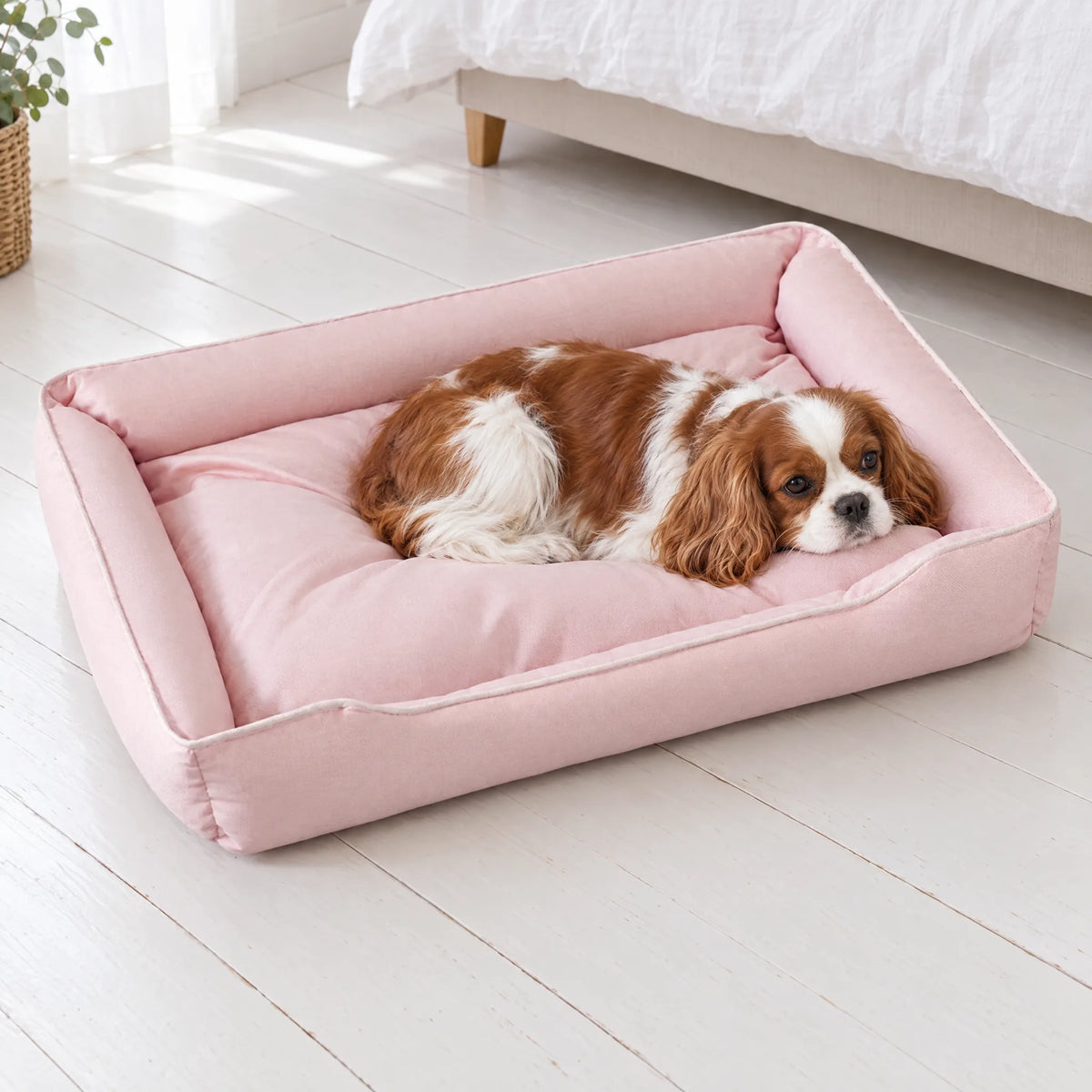 Cavalier King Charles sdraiato nella cuccia per cani rosa, con la testa appoggiata sul bordo davanti