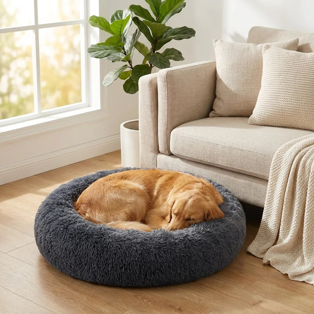 Golden retriever addormentato nella cuccia a ciambella grigio scuro accanto al divano