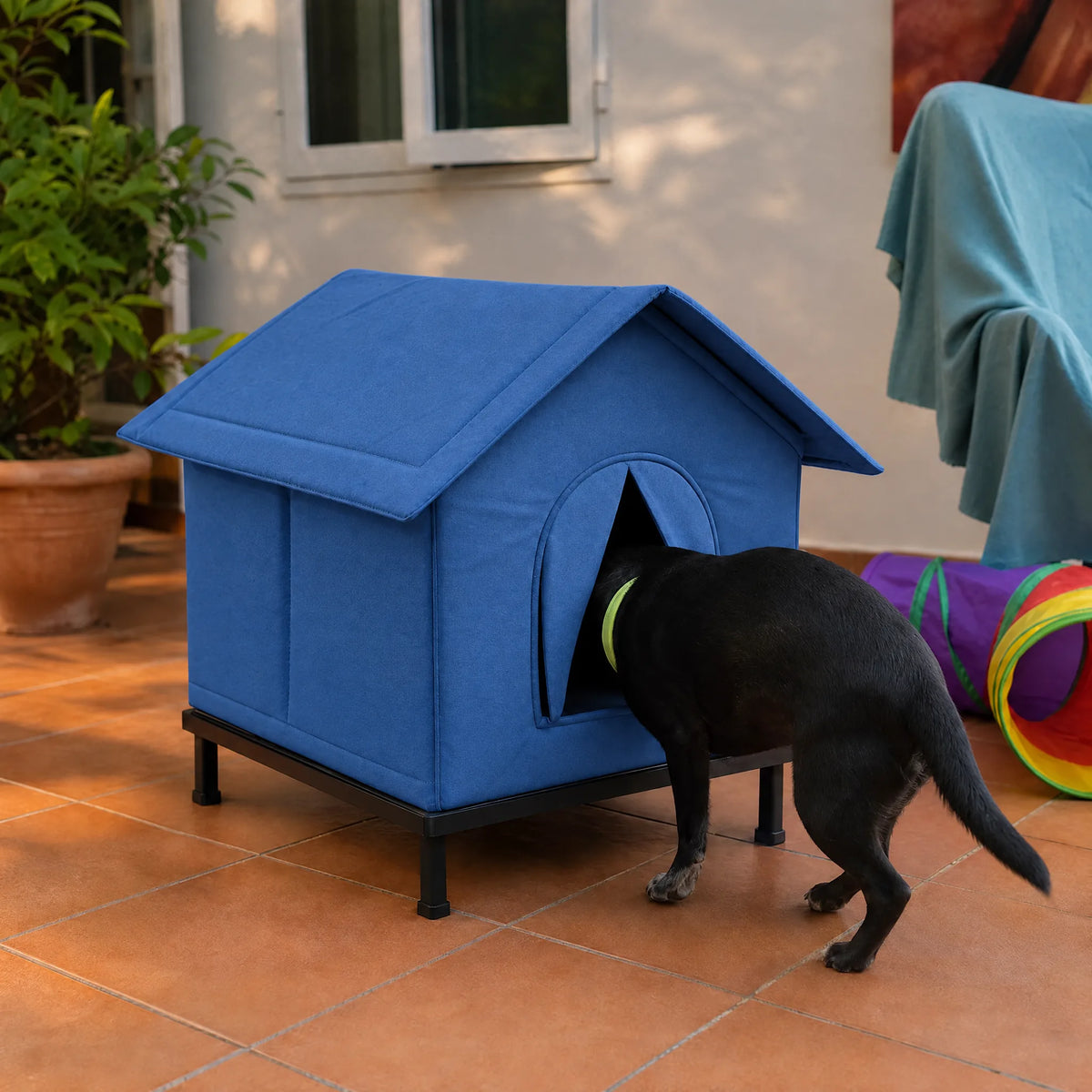 Cane che entra nella cuccia da esterno coibentata blu sul patio
