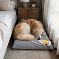 Cane accovacciato sul cuscino materassino plush grigio accanto al letto in camera