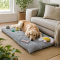 Golden Retriever disteso sul cuscino materassino plush grigio in salotto luminoso