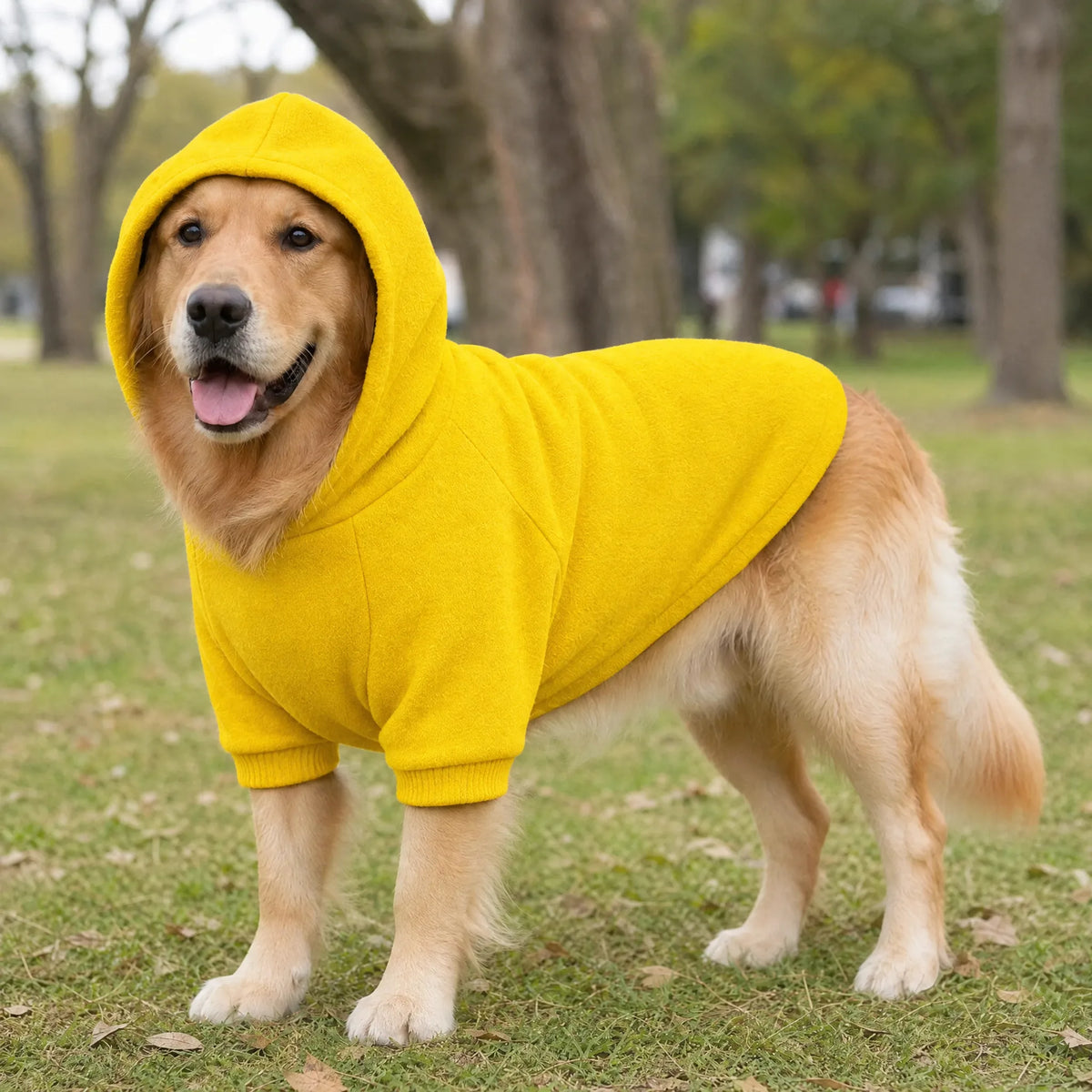 Cane al parco con la felpa sport con cappuccio gialla