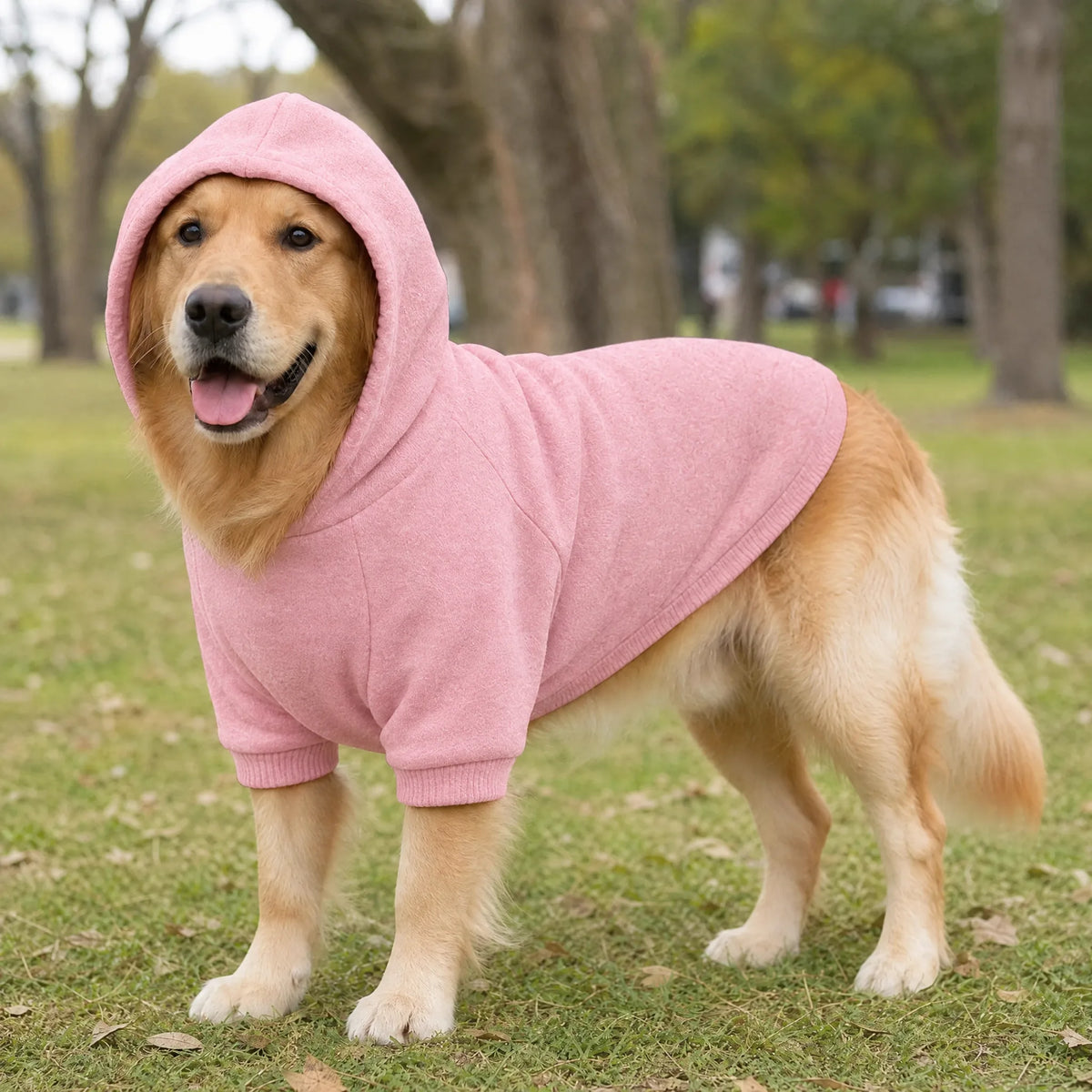 Cane al parco con la felpa sport con cappuccio rosa