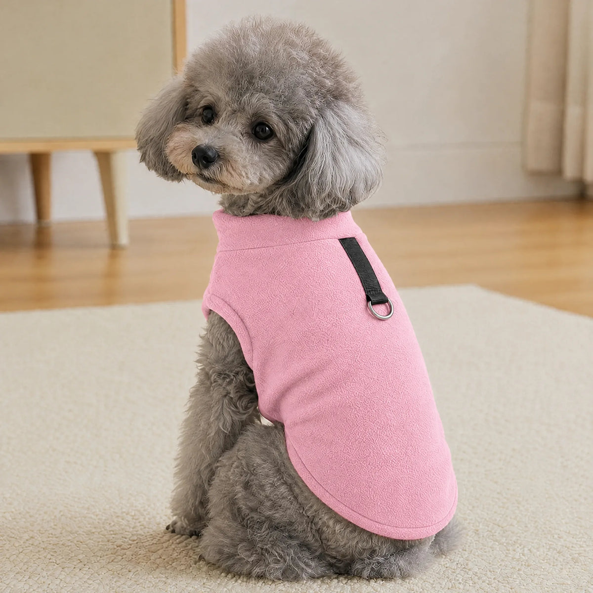 Barboncino seduto in casa con gilet in pile stretch rosa