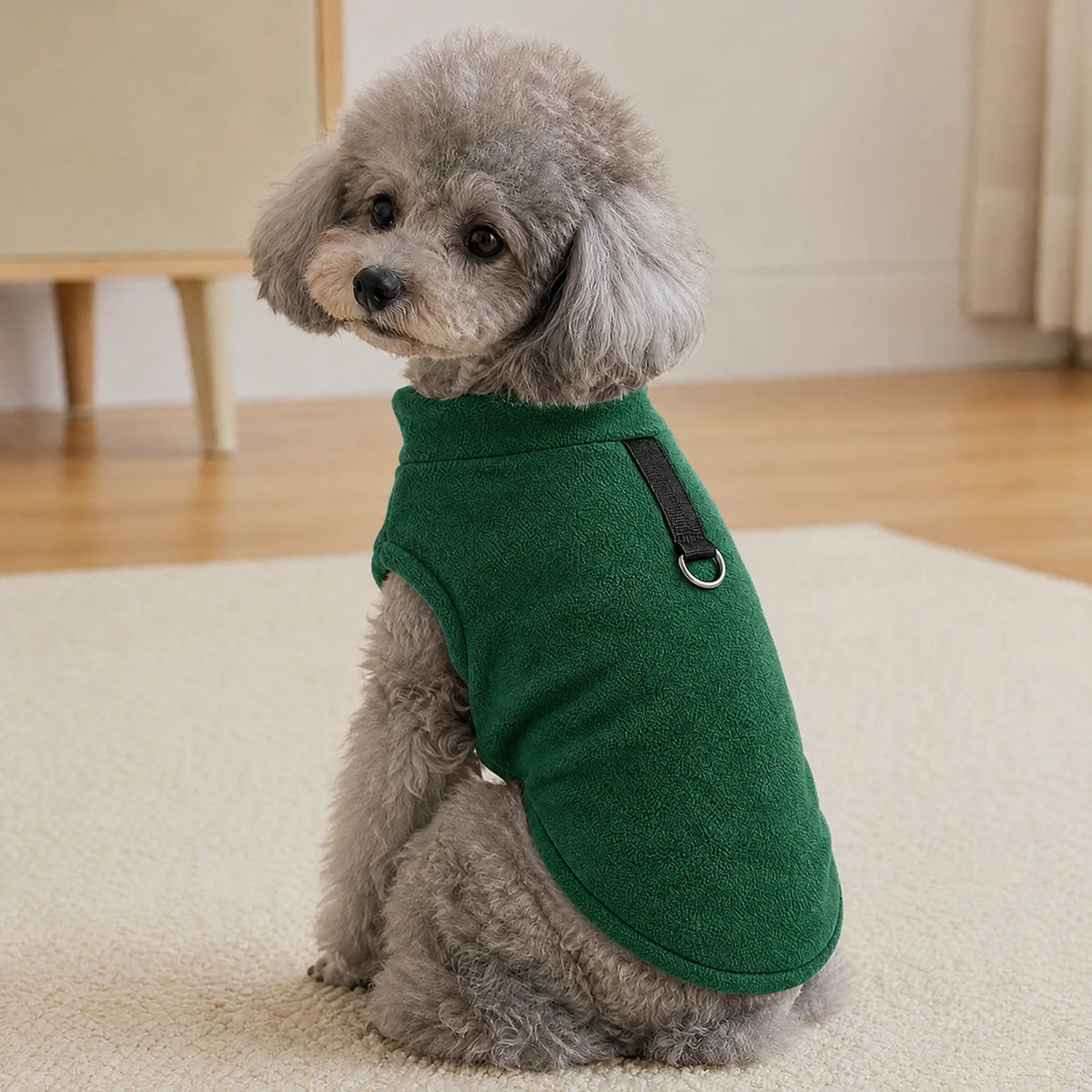 Barboncino seduto in casa con gilet in pile stretch verde