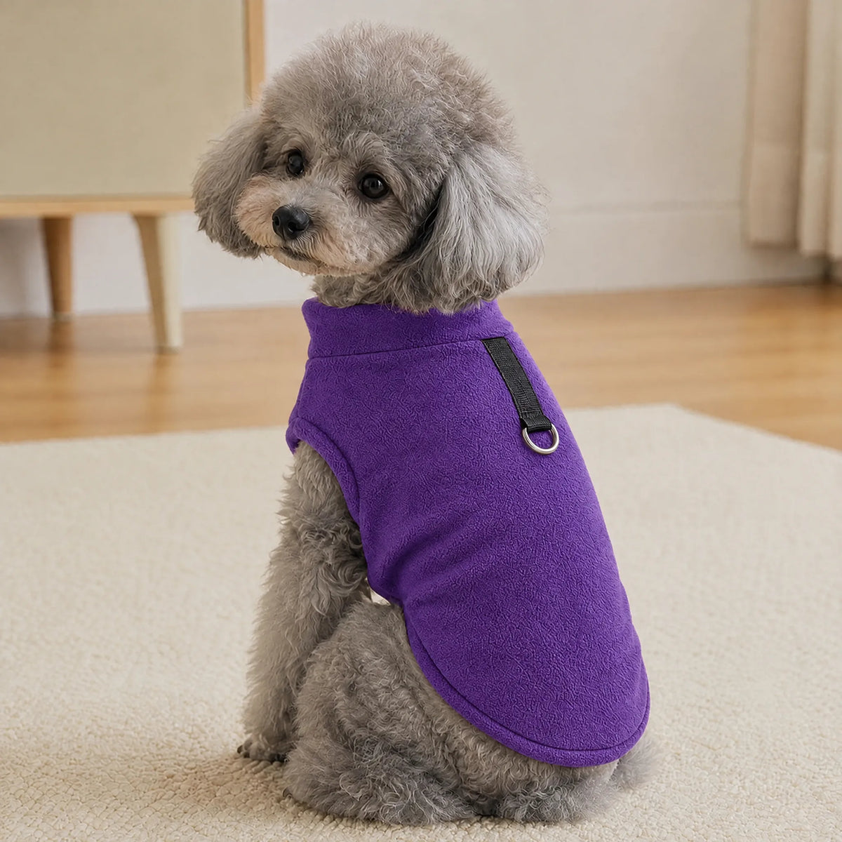 Barboncino seduto in casa con gilet in pile stretch viola