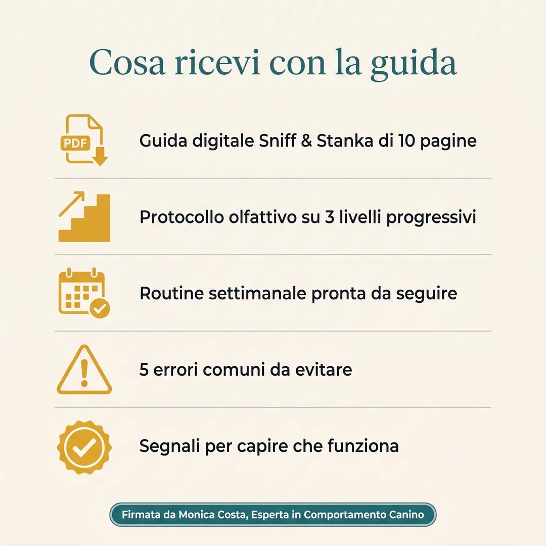 Cosa ricevi con la guida Sniff e Stanka, 5 contenuti inclusi
