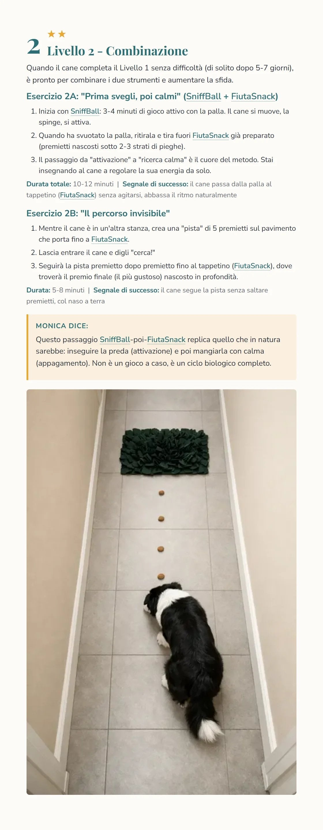 Anteprima Livello 2 della guida Sniff e Stanka, combinazione SniffBall e FiutaSnack