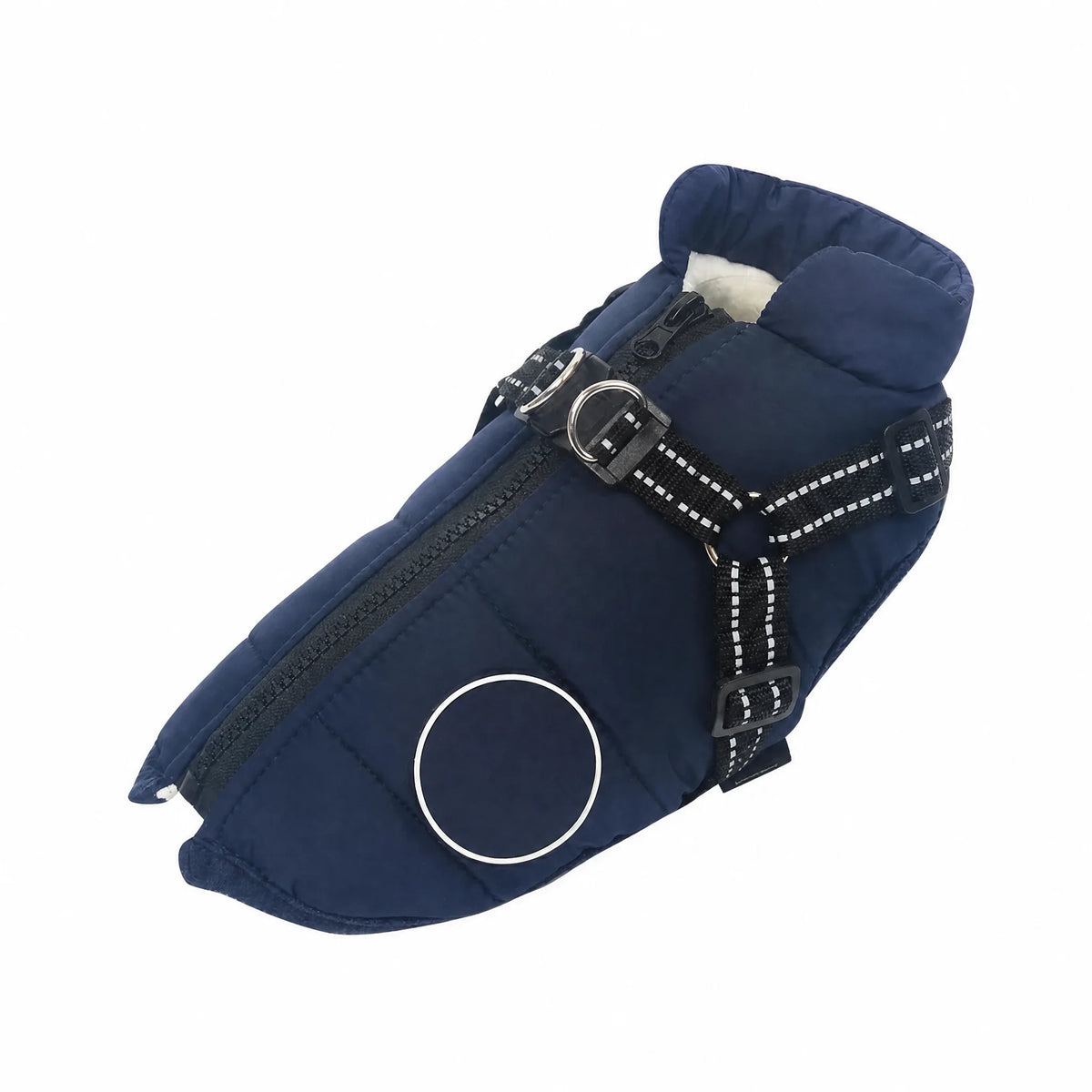 Cappottino cane con pettorina su sfondo bianco