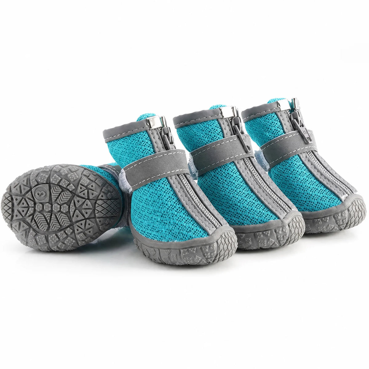 Scarpe cane antiscivolo mesh zip set da 4 studio