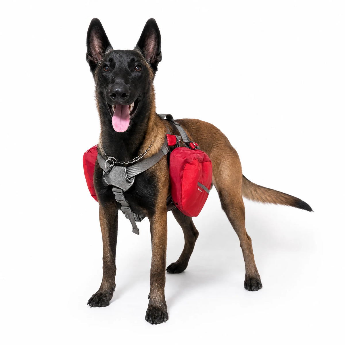 Zainetto per cani da trekking rosso con borse laterali, vista frontale su sfondo bianco
