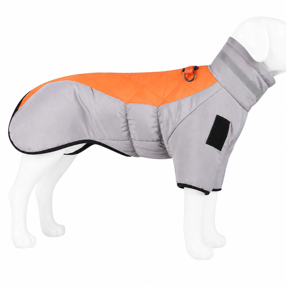 Cappotto cane invernale bicolore con anello guinzaglio — foto hero prodotto