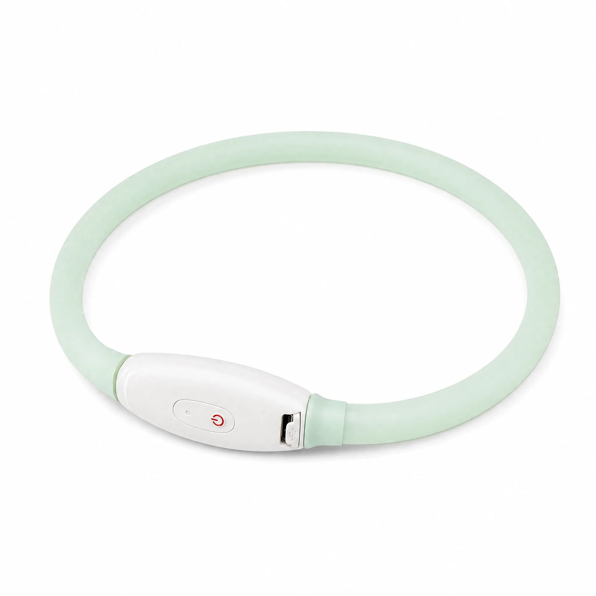 Collare LED per cane USB ricaricabile silicone mint — studio