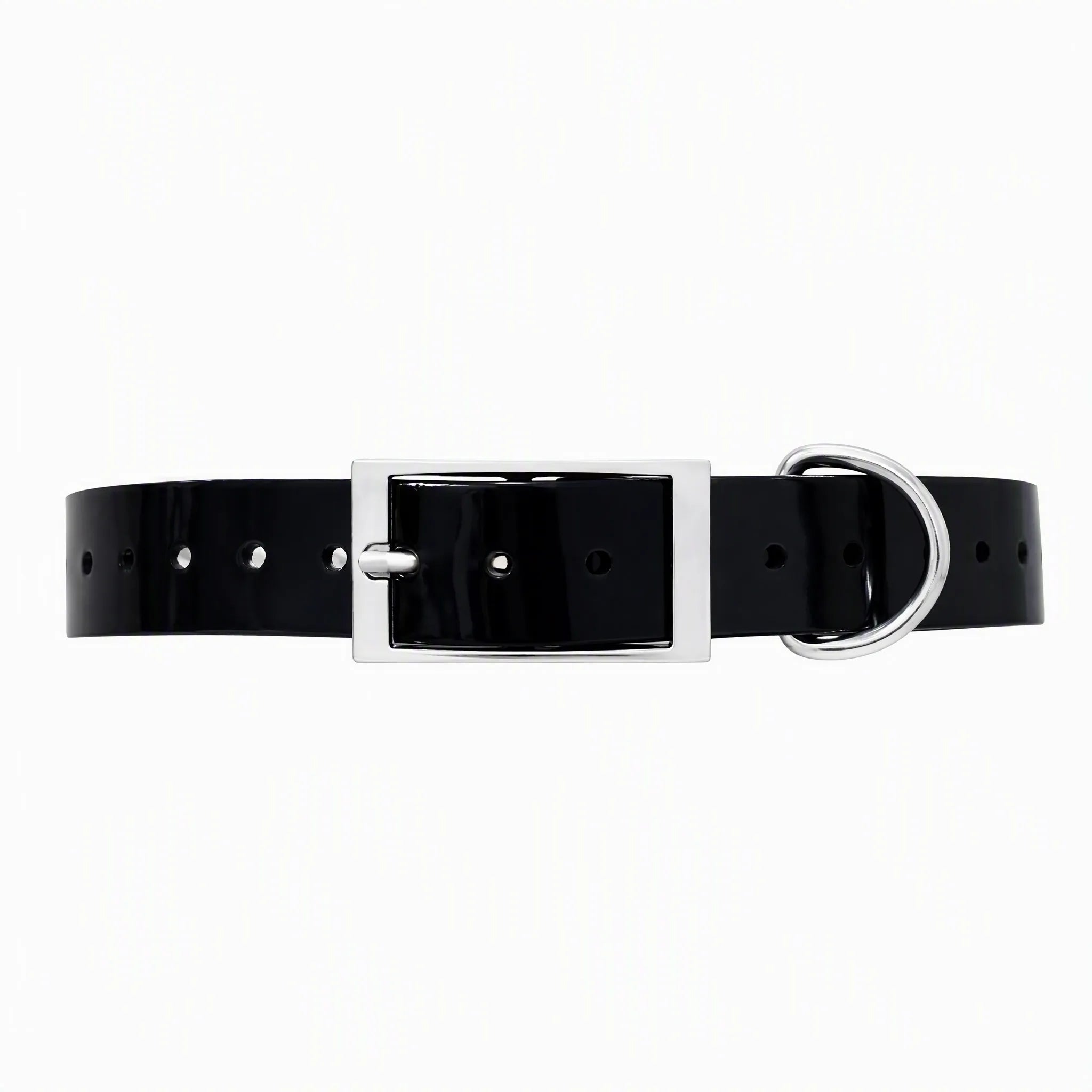 Collare cane TPU impermeabile 2,5 cm su bianco
