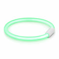 Collare luminoso LED per cani in silicone translucido acceso in verde su sfondo bianco