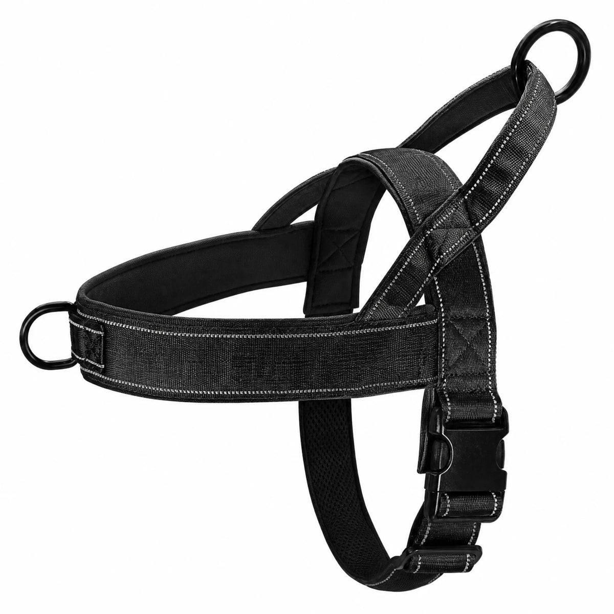 Pettorina tattica anti-trazione cane vista studio