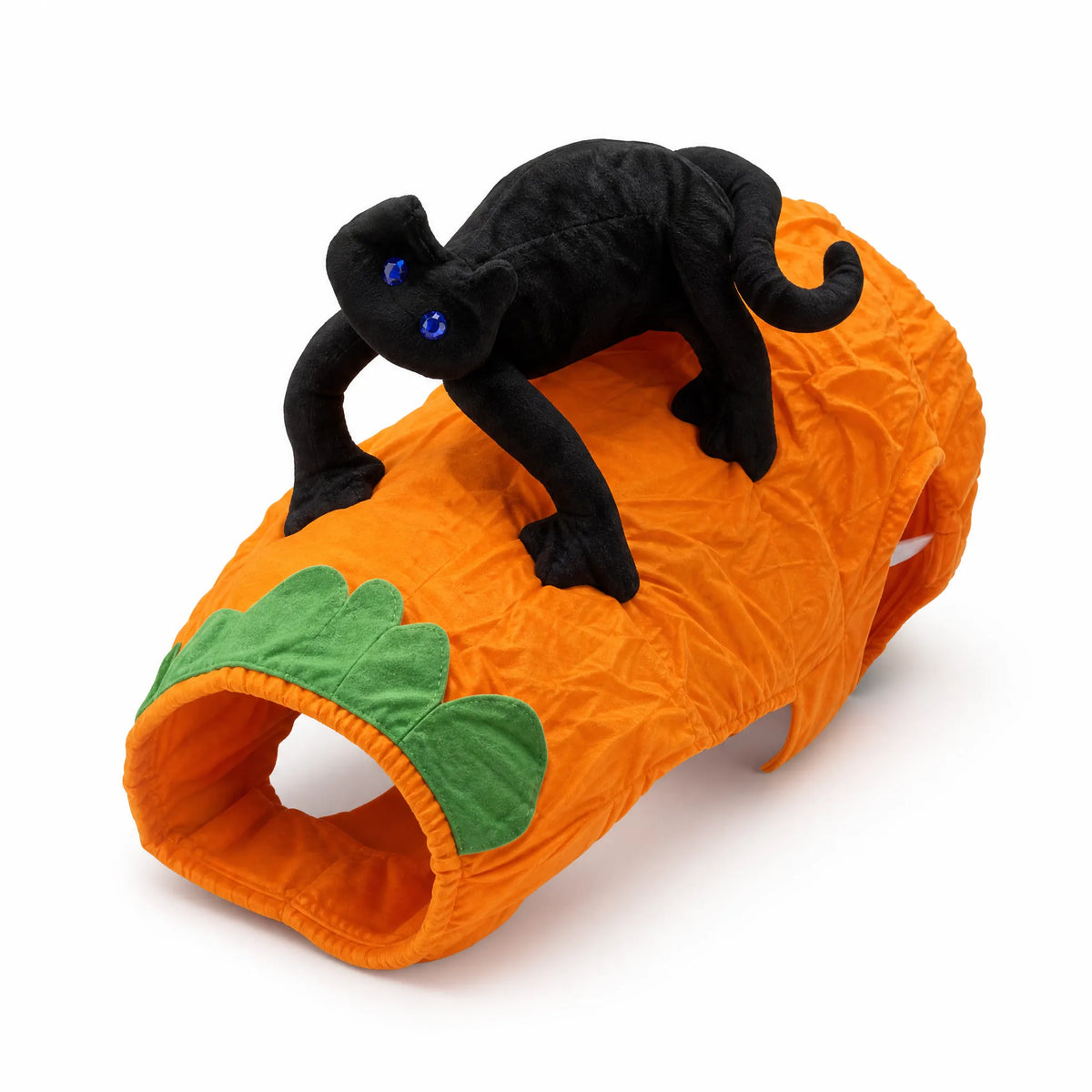 Costume per cani zucca con gatto nero tridimensionale su sfondo bianco