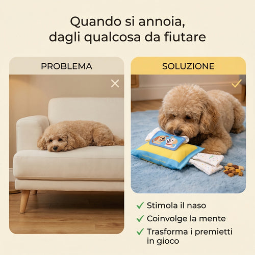 FiutaSnack - Problema e Soluzione: quando si annoia dagli qualcosa da fiutare