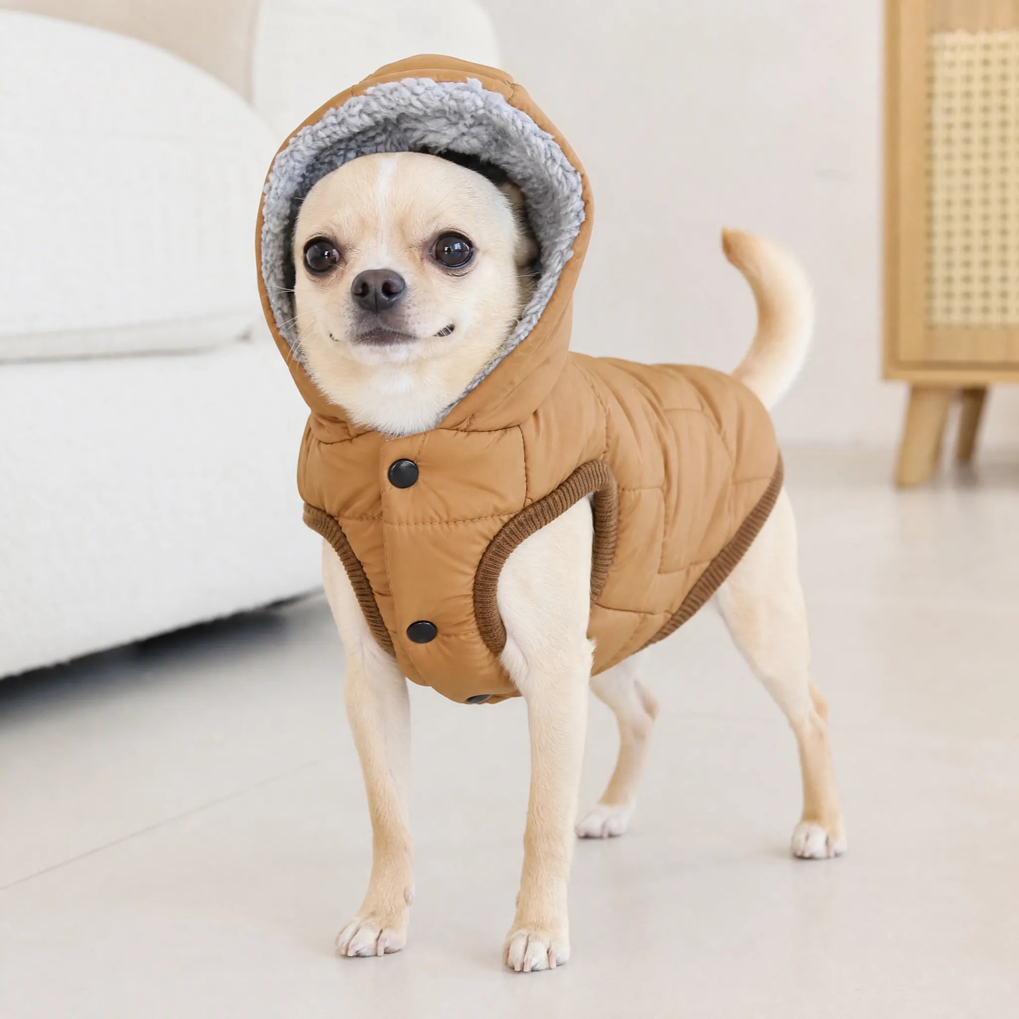 Cane piccolo con cappottino imbottito cammello e cappuccio