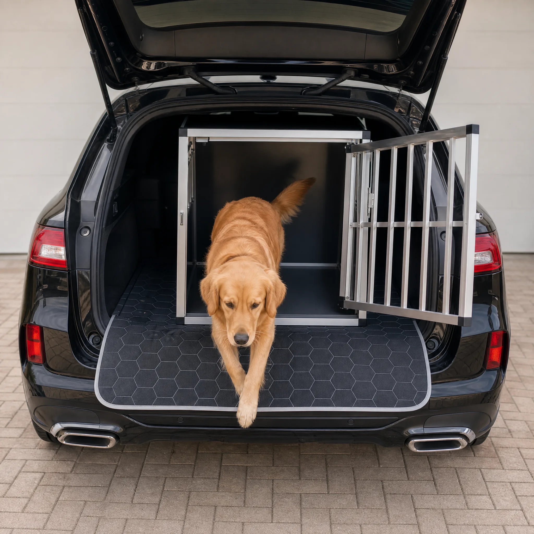 Trasportino auto per cani in alluminio nel bagagliaio di un SUV con golden retriever che esce