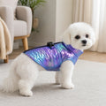 Cane con gilet iridescente viola in casa