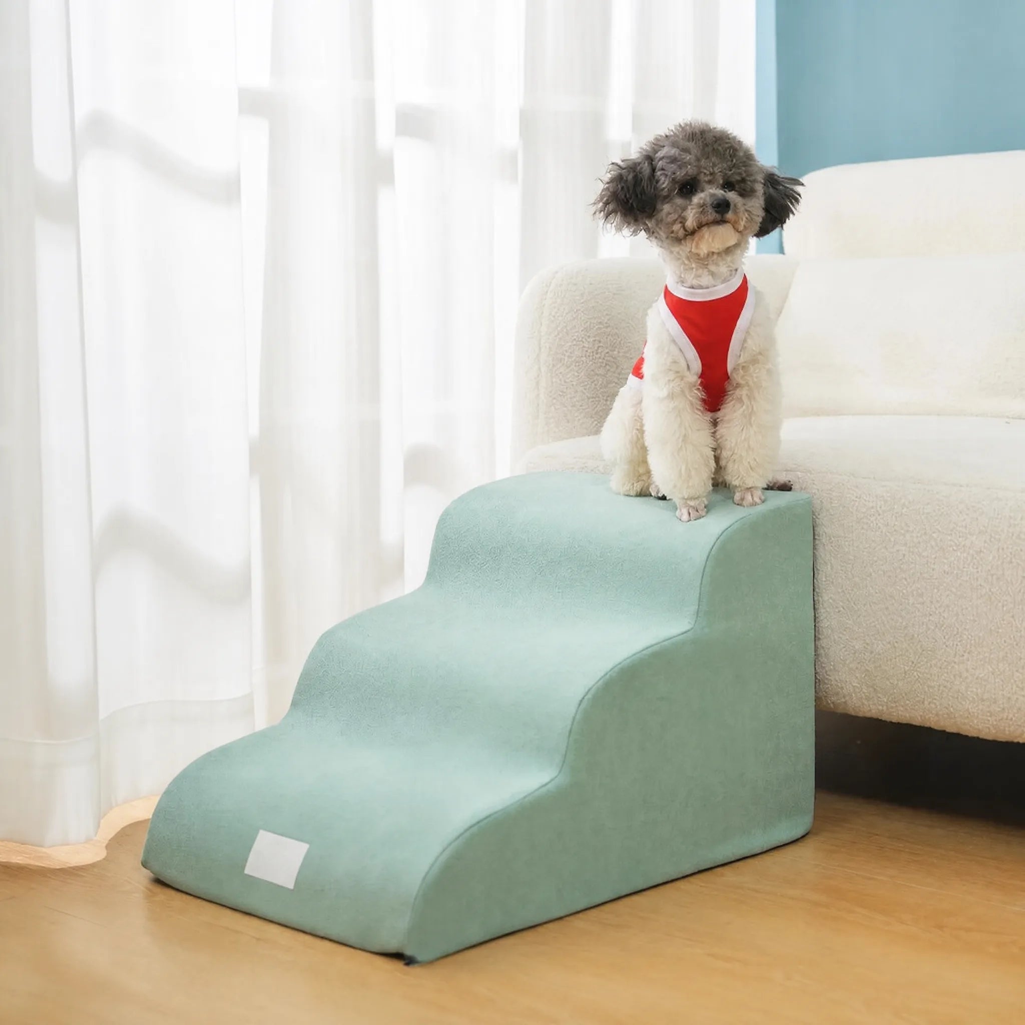 Rampa per cani divano memory foam - cane sul gradino alto