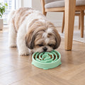Shih Tzu mangia dalla ciotola anti-ingozzamento verde menta vicino al tavolo da pranzo