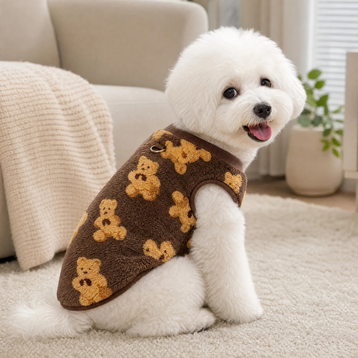 Cane con pigiama flanella teddy orsetti in casa