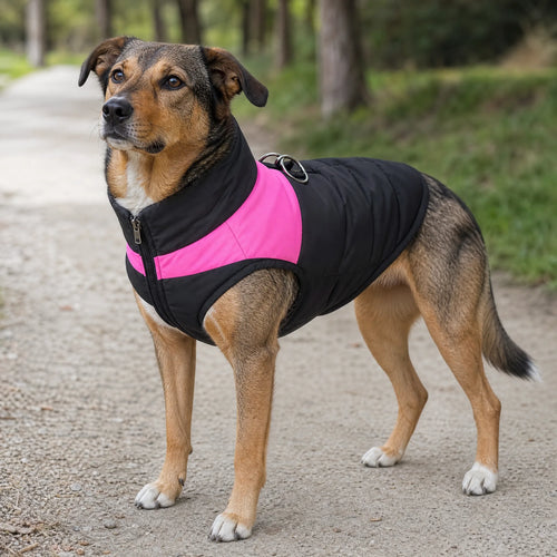 Cane con cappotto gilet imbottito impermeabile nero e rosa all'aperto