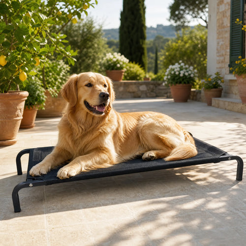 Golden retriever sdraiato sulla brandina rialzata per cani in textilene nero in terrazza