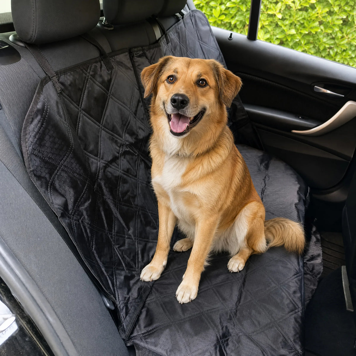 Cane seduto sul coprisedile auto per cani nero trapuntato sul sedile posteriore