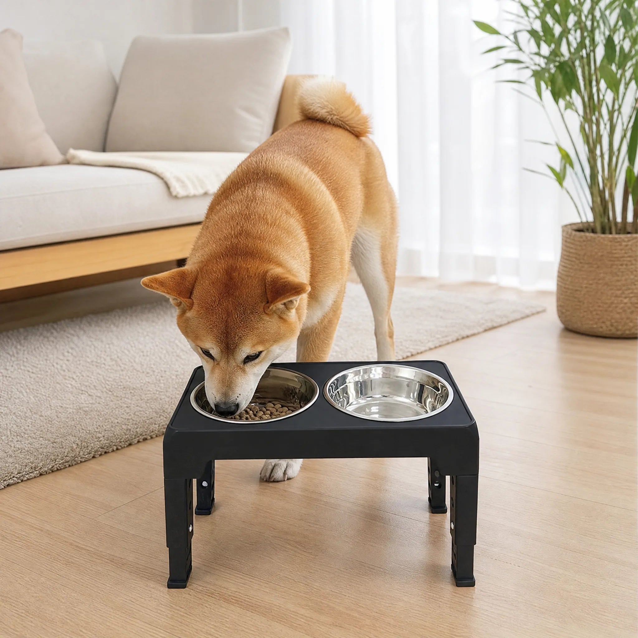 Cane che mangia dalla ciotola rialzata regolabile
