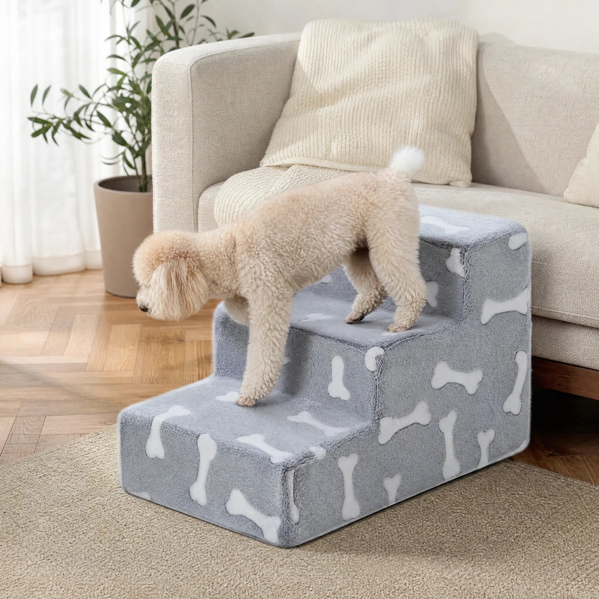 Rampa per cani divano osso - cane che sale i gradini accanto al divano