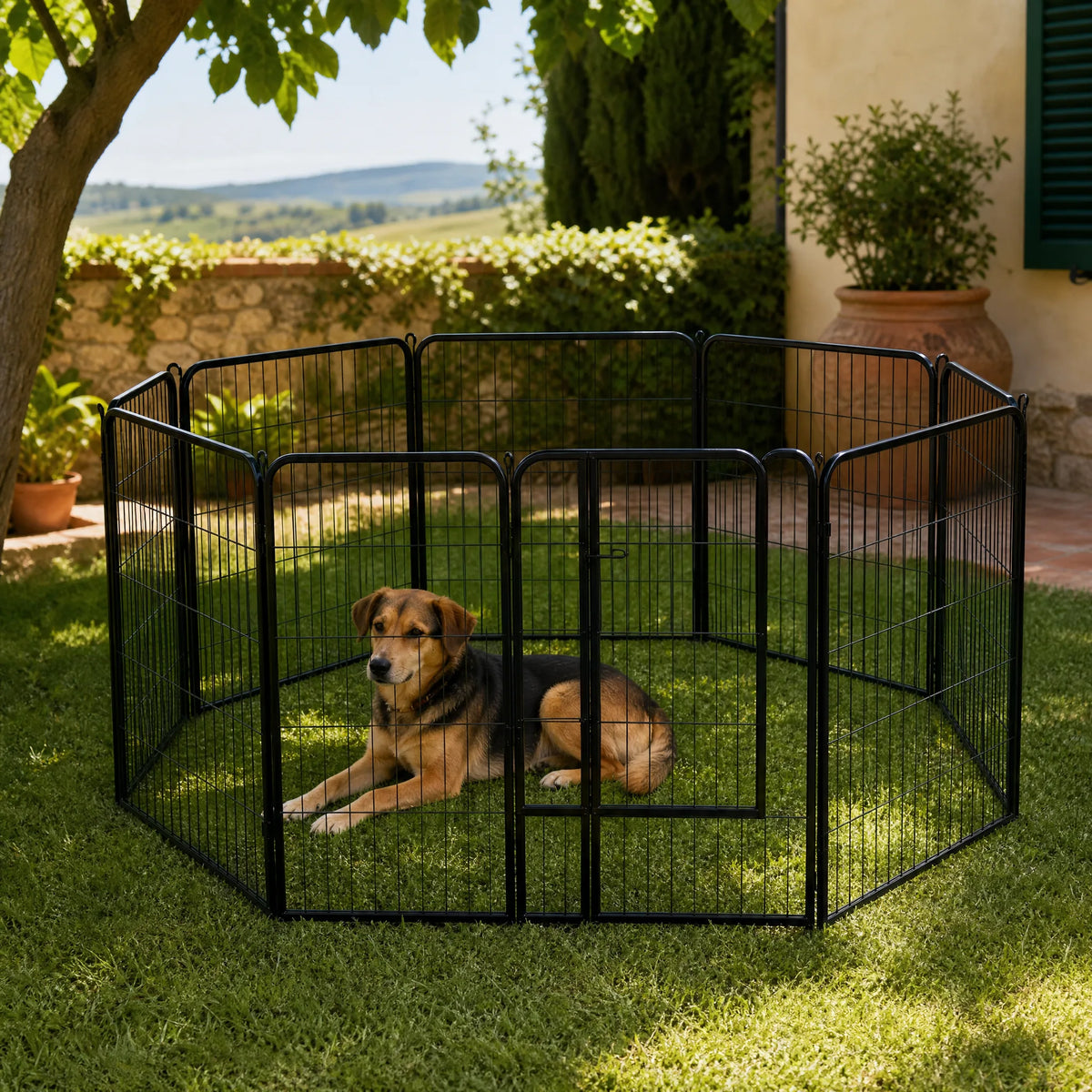 Recinto per cani da esterno in metallo nero su prato con cane