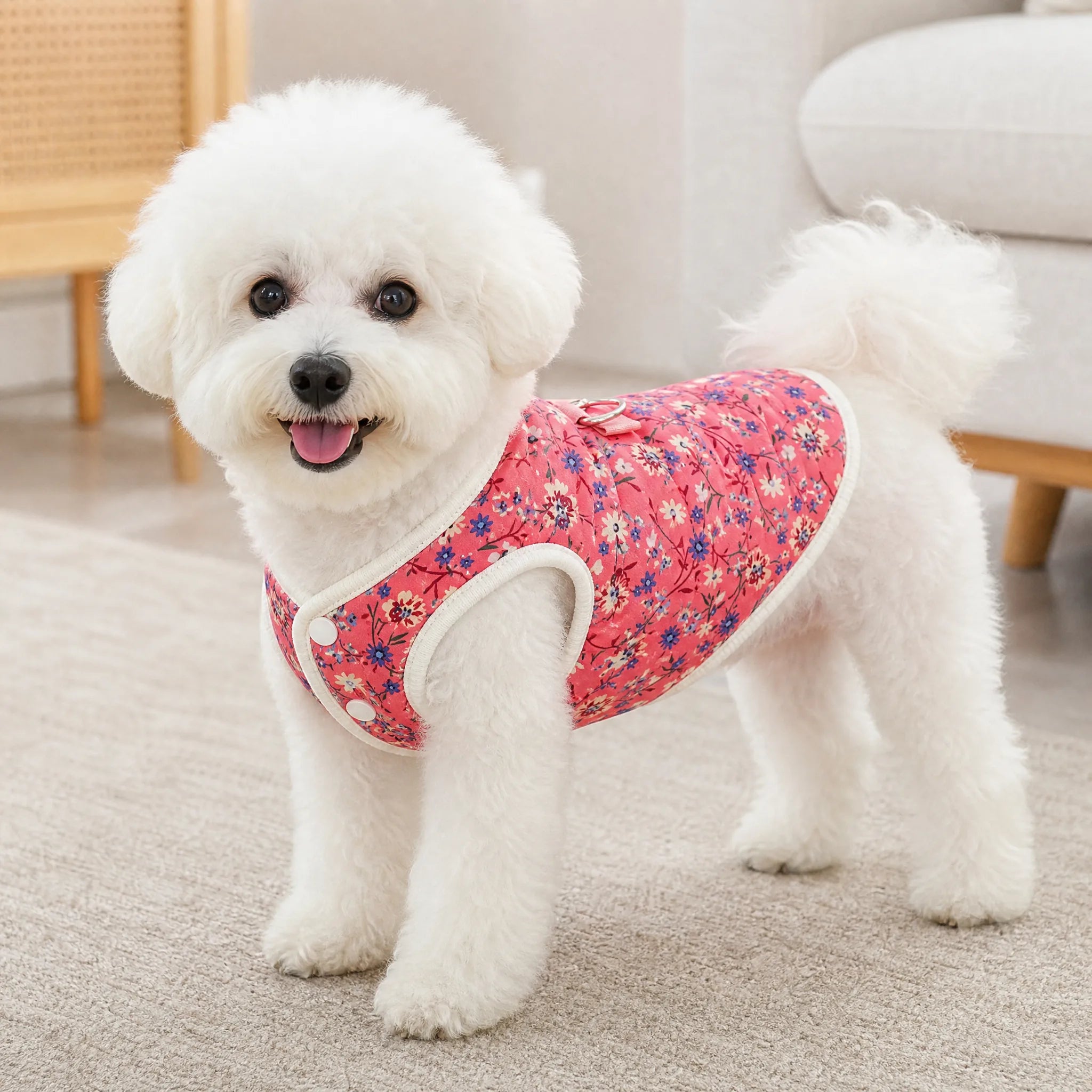 Cane con cappottino floreale rosa imbottito
