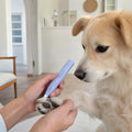 Cane con trimmer LED su zampe a casa