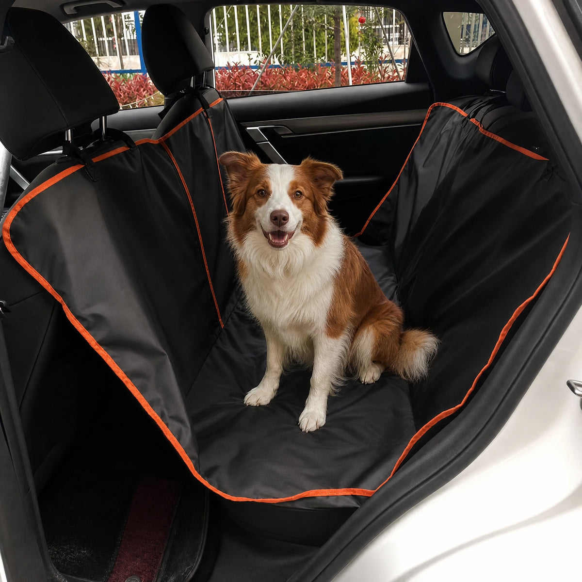 Coprisedile auto per cani con tracolla - cane sul sedile posteriore