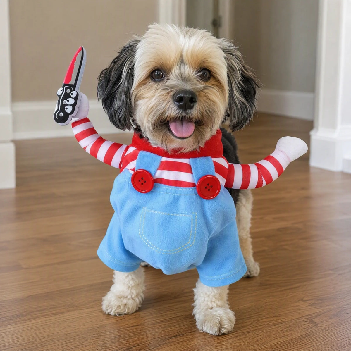 Cane piccolo con costume halloween cane salopette coltello