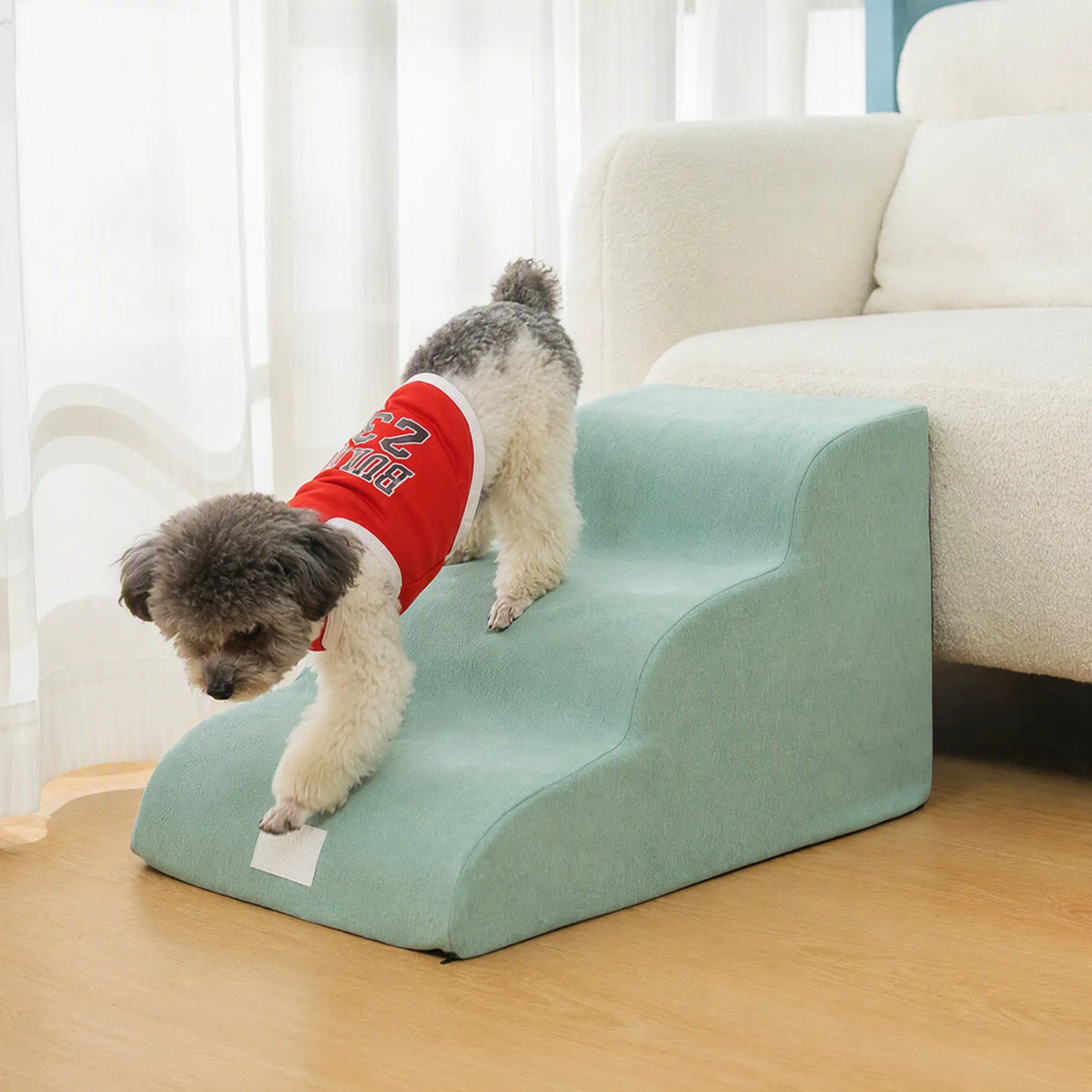 Rampa per cani divano memory foam - cane che scende